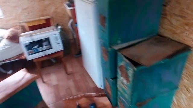 продолжаем готовить ловушки для пчеллинных роёв 2017 смотреть онлайн