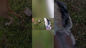 продолжение 3 сезон 7 серия