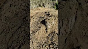 Купили заброшенный участок на юге. Подводим итоги. Сколько потратили.
