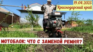 Краснодарский край(19.04.2025). Непогода отступает. Что с ремнем на мотоблок?