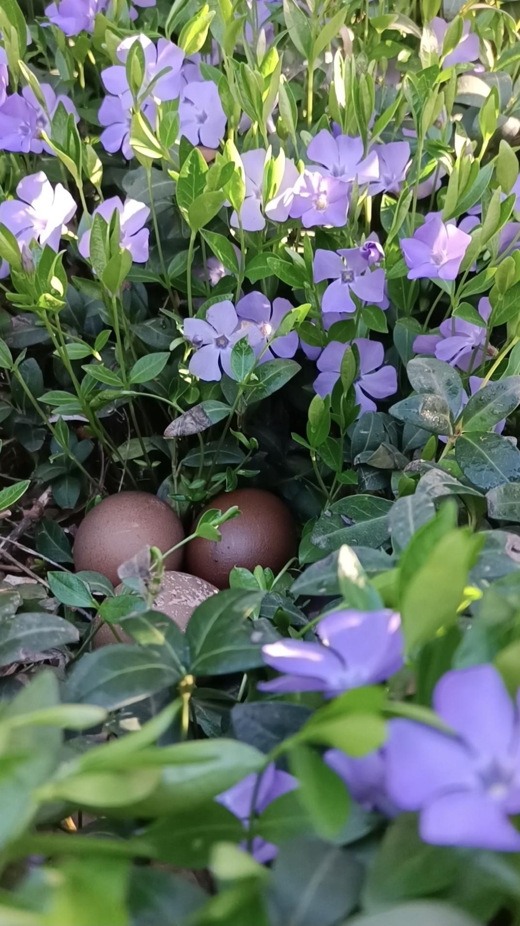 Христос Воскрес! 🌷🌷🌷
