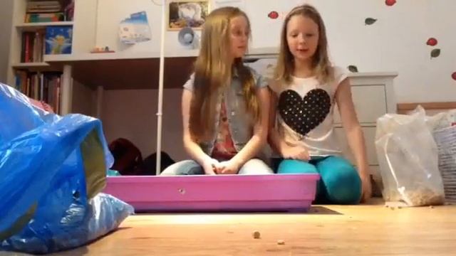 Уборка в клетке хомяка! смотреть онлайн