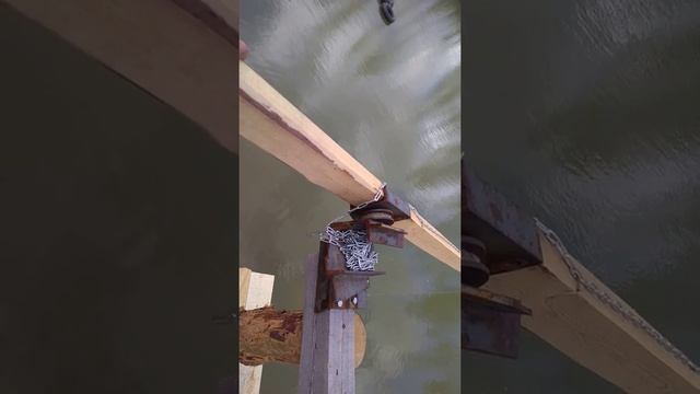 Карп разведение, первые проблемы... смотреть онлайн