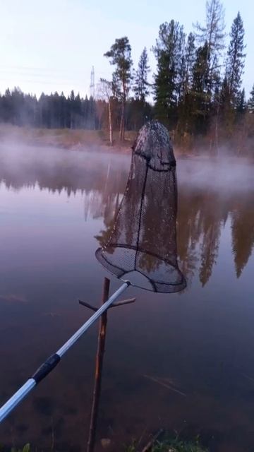 Рыбалка на реке. Ночные заморозки. смотреть онлайн