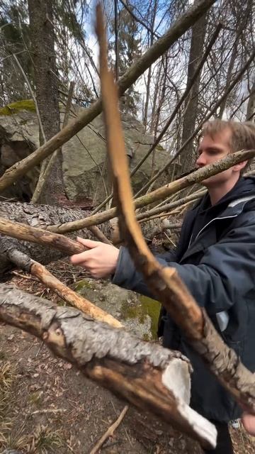 Что делать, если заблудился в лесу? Ищи дерево!