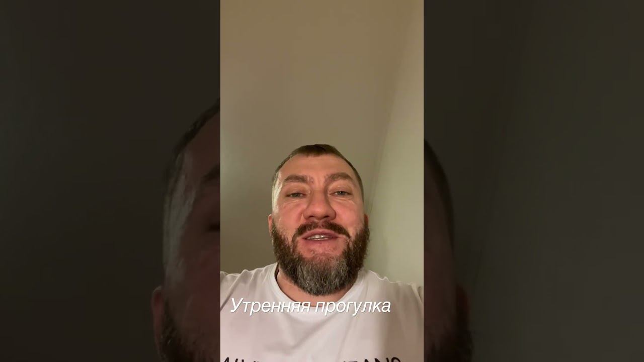 Новое стихотворение