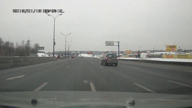 Лось на МКАД =) смотреть онлайн