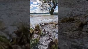 Пробежка Симферополь - Строгановка - Кесслерский лес - карьер "Лозовое" - городское водохранилище.