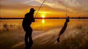 Исследуем речку не обычную, а уютную