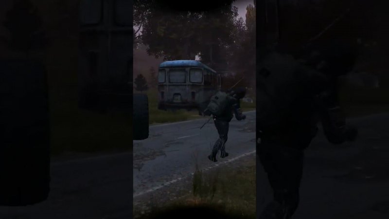 Stalker RP Закинул машину на дерево #dayz