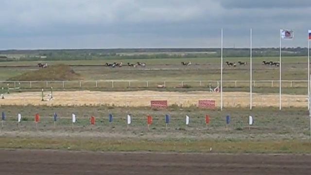 Воронежский ипподром-2012 26 августа