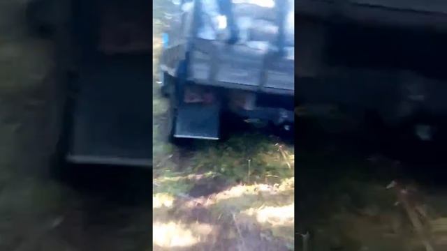 Тайга балыктуюль 2017
