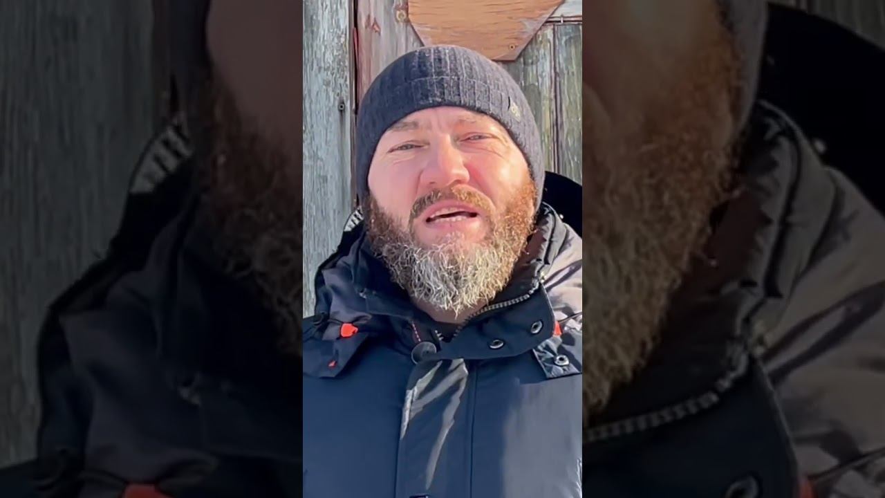Холода» стихотворение из моего сборника