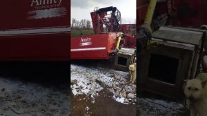 Свеклоуборочный комбайн vic amity экспресс-обзор от Виталия Белоглазова