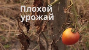 Grundor - средство от сорняков