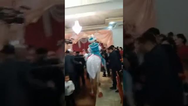 Самат Дулат сүндет той смотреть онлайн