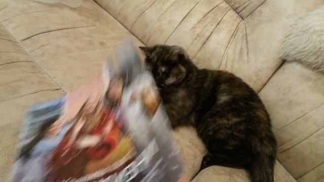 НЕ ТОЛЬКО ЛЮДЯМ НРАВИТСЯ "ОРИФЛЕЙМ",НО И КОШКАМ. И НЕ ТОЛЬКО МОЕЙ смотреть онлайн