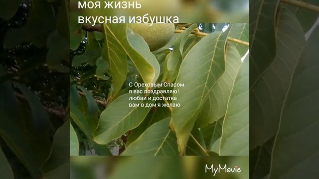 Музыкальное поздравление с Ореховым Спасом