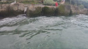 Прогулка у моря в Сочи 20 апреля