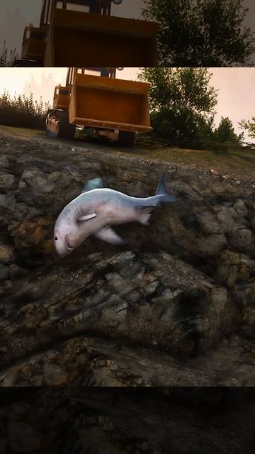 Dekhiye Kaise Shark Ki Jaan Bachai 🐟🥺 Aaj To Bach Gye Bhai😱    #shorts смотреть онлайн