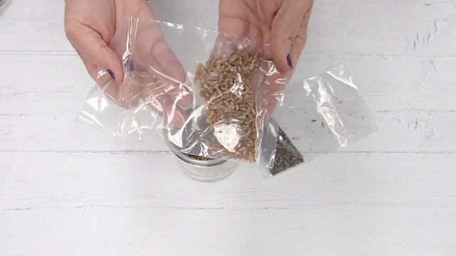 Grow N Glow Terrarium  Creativity for Kids  Science Kit  Easy Indoor Plant