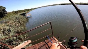 5 КГ С МОСТИКА НА ФИДЕР. Рыбалка в Херсонской области.