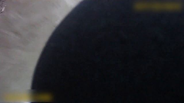 свиня смотреть онлайн