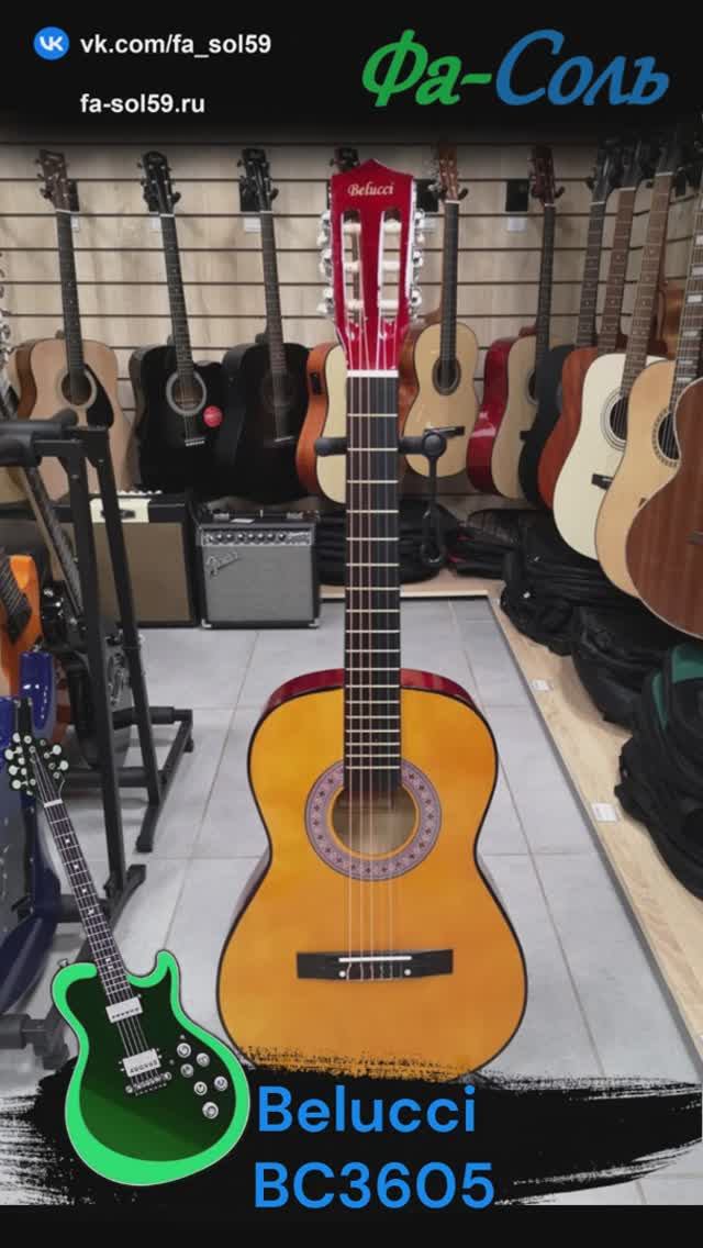 Belucci BC3605