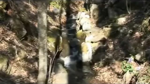 Весна на Валааме.Spring on Valaam. смотреть онлайн