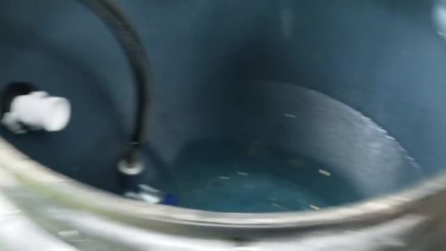 DIY Swirl Filter and Bio Filter Upgrade Before and After смотреть онлайн