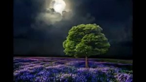 Сингаттаме ма хила хьо