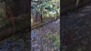 Щедрость Донской Земли