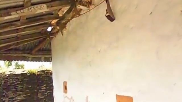 Radio Nepal Morning Signature Tune : sankha Dhoon смотреть онлайн