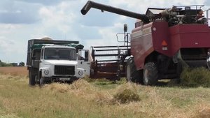 начало уборки рапса ПОЛЕСЬЕ G12 2019