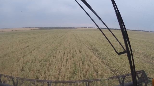 Жатва 2018. Уборка гороха. Урожайность гороха в засушливый год. смотреть онлайн