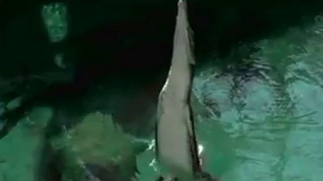 Нравится мне с тобой нравится..... смотреть онлайн