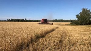 Case 2366 в работе