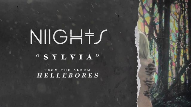 NIIGHTS - Sylvia (Official Stream) смотреть онлайн