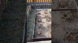 15-19 апреля.