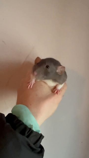 She owes me money смотреть онлайн