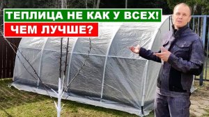 Теплица не как у всех! Армированная пленка или поликарбонат Оптимальный выбор садовода.
