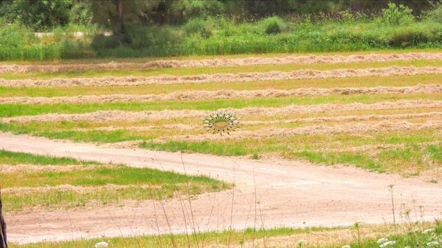 Луг после уборки урожая смотреть онлайн