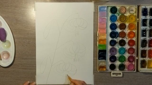 Королевство "Карликовых лилий" смотреть онлайн