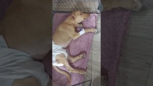 История до слез, смотрите это про любовь.