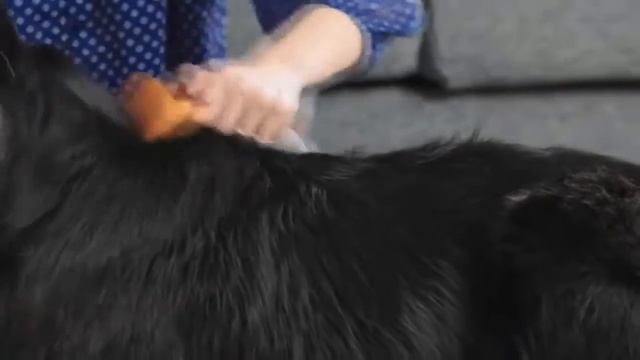 12 НЕРЕАЛЬНО КРУТЫХ И ПОЛЕЗНЫХ ВЕЩЕЙ С ALIEXPRESS КОТОРЫЕ ТЫ ЗАХОЧЕШЬ ТОВАРЫ ИЗ КИТАЯ смотреть онлайн