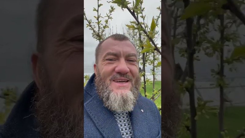 Жизнь прекрасна