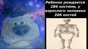 Спорим ты не знал этого? Часть 2