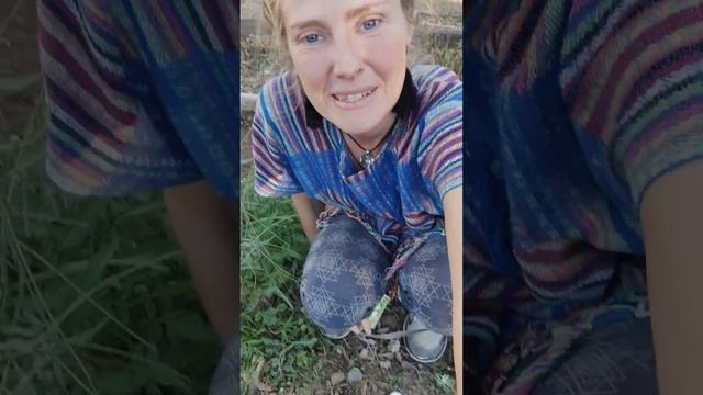 How the Full Moon affects our bodies and plants!! смотреть онлайн