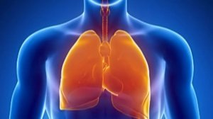 Инсон танасидаги юрак,жигар ва упканинг нархи канча