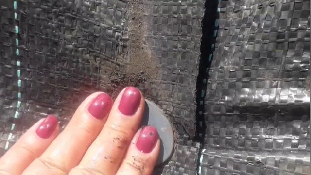 Как закрепить агроткань/Садовые гвозди